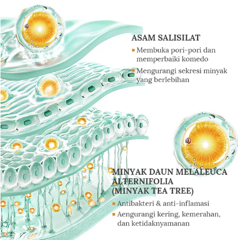 KORMESIC Antibacterial Cleanser 100 GR