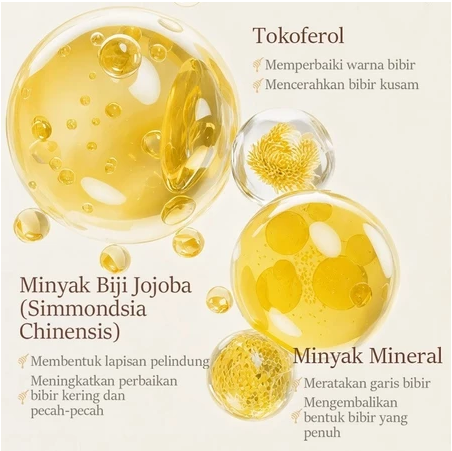 KORMESIC Honey Lip Balm 2,7 g
