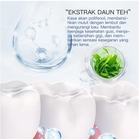 KORMESIC Green Tea Toothpaste 100 gr
